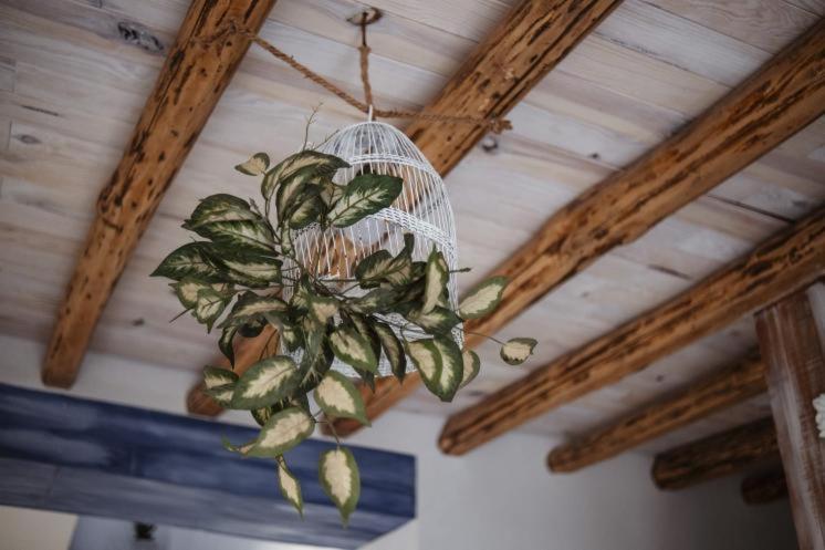Vivienda Rural Del Salado Villa Jaén Dış mekan fotoğraf
