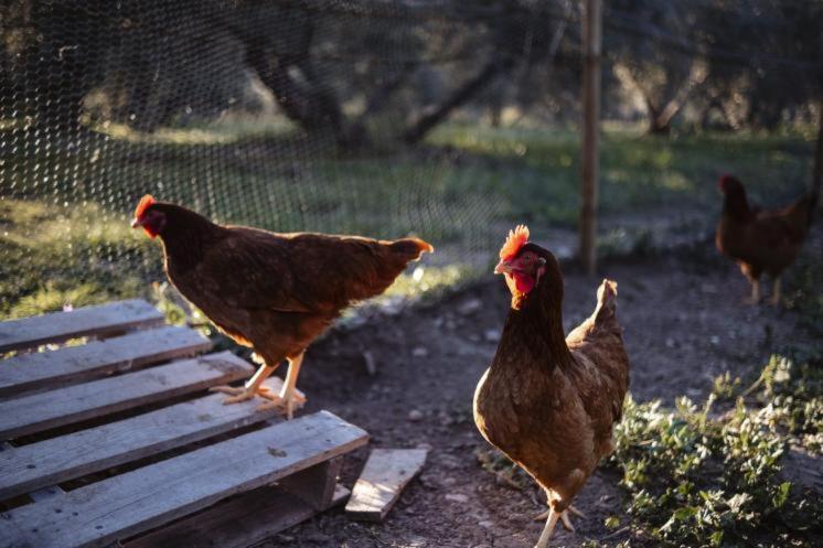 Vivienda Rural Del Salado Villa Jaén Dış mekan fotoğraf